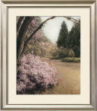 Azalea Way Framed Art Print