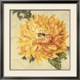Buy Hot Blooms II at AllPosters.com
