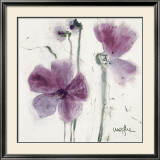 Pansies VI