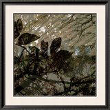 Buy Vegetaux 13, 2008 at AllPosters.com