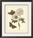 Buy Nature Study in Sepia IV at AllPosters.com