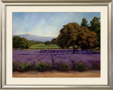 Buy Lavender Fields at AllPosters.com