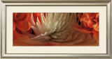 Buy Dahlias IV at AllPosters.com