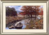 Cypress Creek