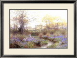 Picking Bluebells