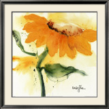 Sunflower IV