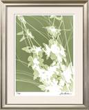 Buy Flower Shadow III at AllPosters.com
