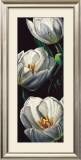 Buy Dewdrop Tulips at AllPosters.com