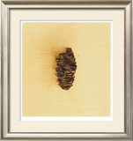 Fundamental Nature II
