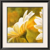 Buy Marguerites dans le Soleil II at AllPosters.com