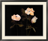 Buy Midnight Anemones II at AllPosters.com