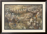 Buy Peaceful Place at AllPosters.com