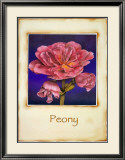 Peony