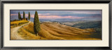 Buy Four Cypress at AllPosters.com