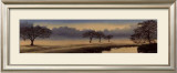 Buy A Perfect Morning I at AllPosters.com