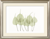 Buy Woodlands I at AllPosters.com