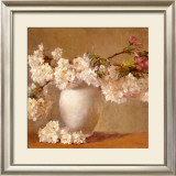 Cherry Blossom