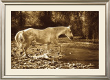 Buy The Crossing at AllPosters.com