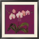 Buy Moon Shadows IV at AllPosters.com