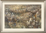 Buy Peaceful Place at AllPosters.com