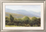 Buy Valley View I at AllPosters.com
