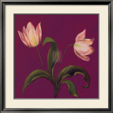 Buy Moon Shadows II at AllPosters.com