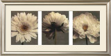 Buy Daisy and Dahlia at AllPosters.com