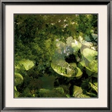 Buy Vegetaux 14, 2008 at AllPosters.com