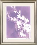 Buy Flower Shadow V at AllPosters.com
