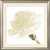 Buy Carnation I at AllPosters.com