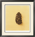 Fundamental Nature III