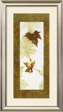 Buy Falling Leaves I at AllPosters.com
