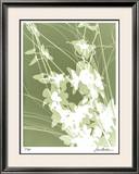 Buy Flower Shadow III at AllPosters.com