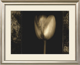 Buy White Tulipa II at AllPosters.com