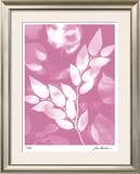 Buy Flower Shadow VI at AllPosters.com