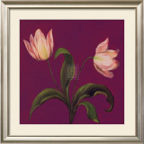 Buy Moon Shadows II at AllPosters.com