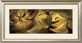 Buy Lilies No. 35 at AllPosters.com