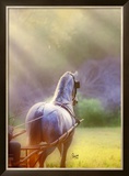Buy Rays of Light at AllPosters.com