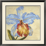 Buy Hot Blooms III at AllPosters.com