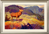 Buy Scotland for Holidays at AllPosters.com