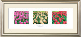 Buy Tulip Panel at AllPosters.com