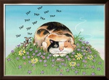 Cat-titude