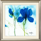 Lily II
