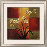 White Orchid