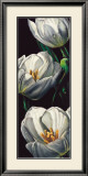 Buy Dewdrop Tulips at AllPosters.com