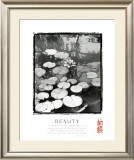 Beauty: Lilypads