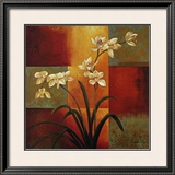 White Orchid