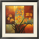Orange Orchid