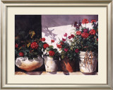 Buy Pots of Geraniums at AllPosters.com