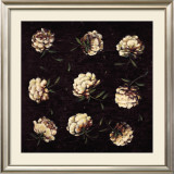 Buy Study in White at AllPosters.com